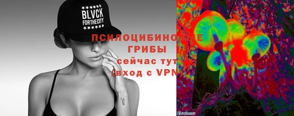 индика Абинск