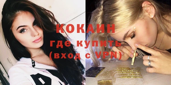 твердый Лагань