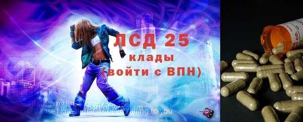 индика Абинск