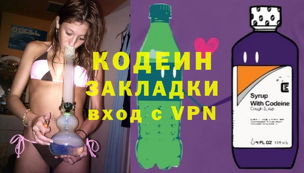индика Абинск