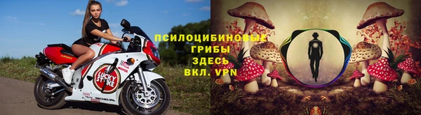 дмт Абаза