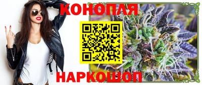 индика Усть-Джегута