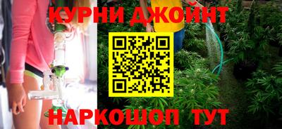 индика Усть-Джегута