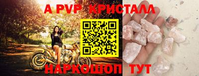 индика Усть-Джегута