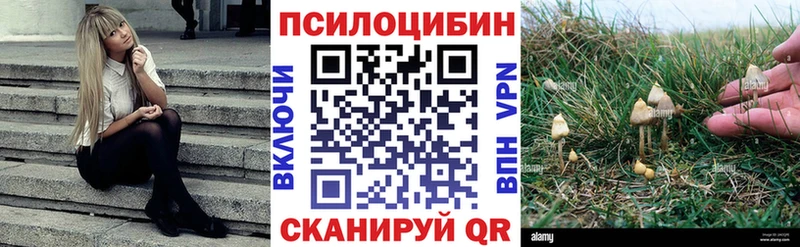 Галлюциногенные грибы Psilocybine cubensis  hydra как войти  Стерлитамак 