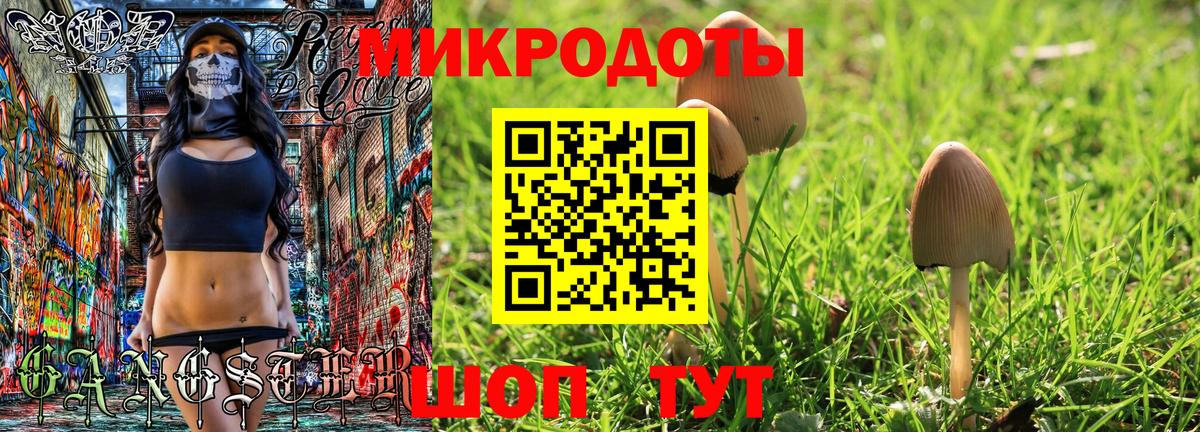 Псилоцибиновые грибы ЛСД Стерлитамак