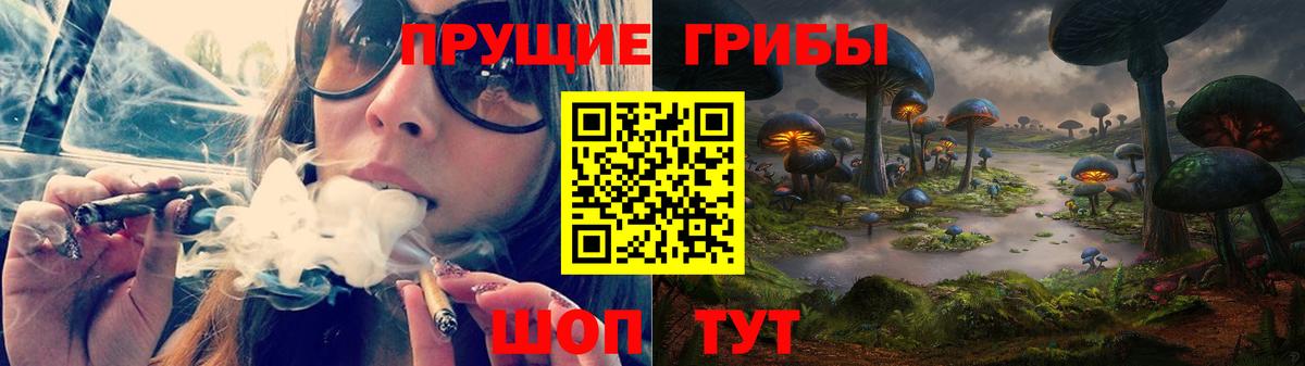 Стерлитамак  Псилоцибиновые грибы прущие грибы  Вход с VPN 